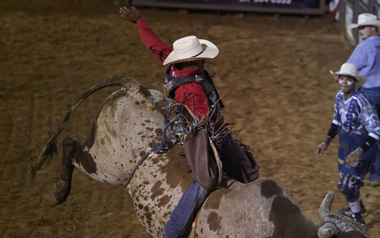 Cowboy riding a bull at a rodeo wearing a red shirt.